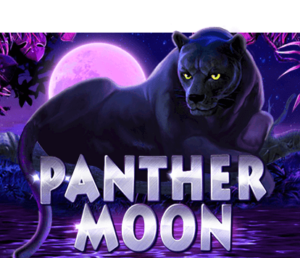 Panther Moon สล็อตค่าย PLAY8 GAMING สล็อตโจ๊กเกอร์ 123