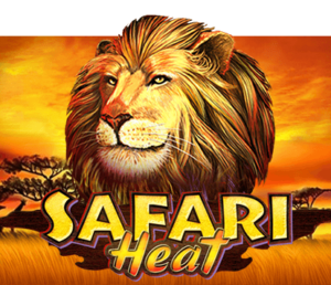 Safari Heat สล็อตค่าย PLAY8 GAMING สล็อตโจ๊กเกอร์ 123